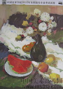 2010年中國美術(shù)學院設計類建筑色彩優(yōu)秀試卷評析（試卷13）